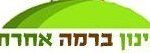 גינון ברמה אחרת